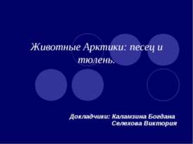 Животные Арктики: песец и тюлень