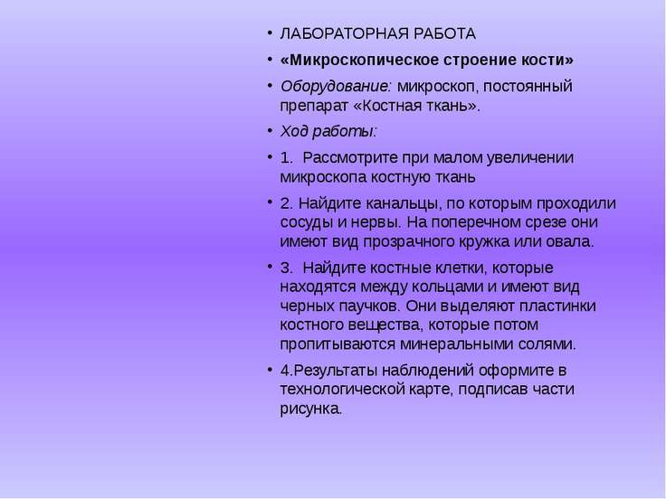 Тканей человека изучение лабораторная работа строения организма микроскопического