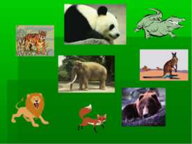 Wild animals