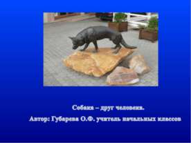 Собака – друг человека