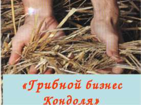 Грибной бизнес Кондоля