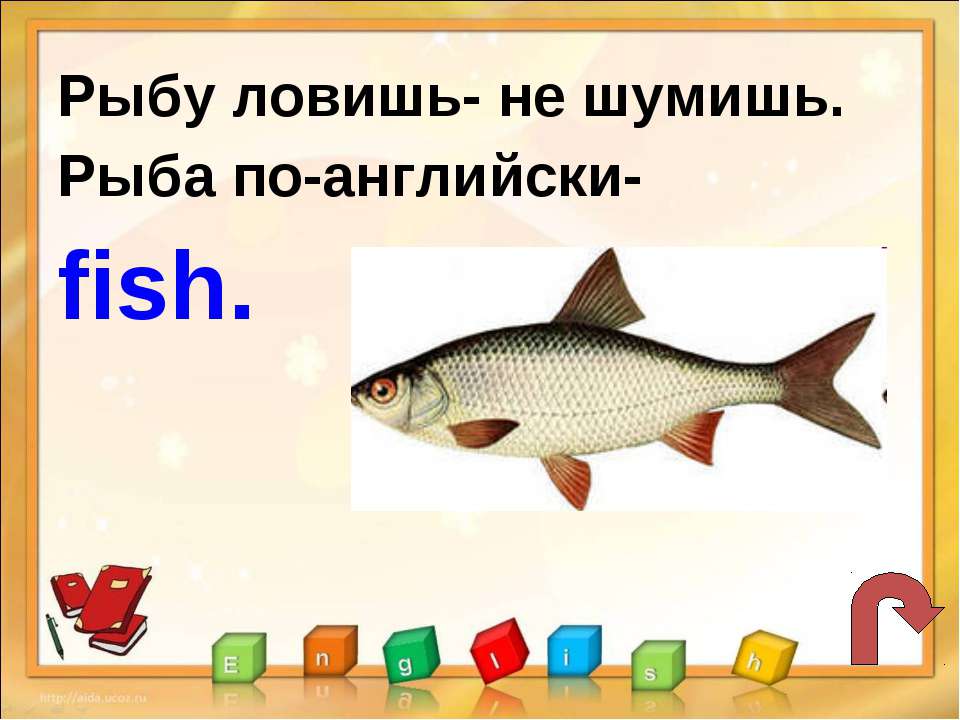 Про рыбу на английском. Рыба по английскому языку. Рыба по английскому транскрипция. Английские слова рыба. Карточка по английскому рыба.