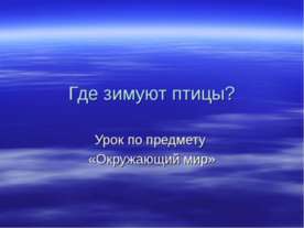 Где зимуют птицы?