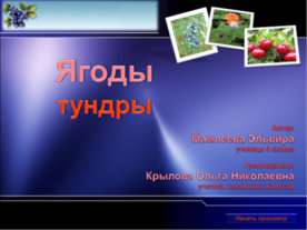 Ягоды тундры