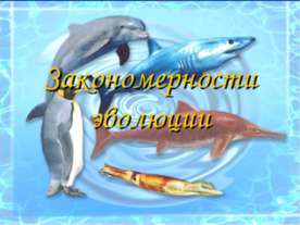 Закономерности эволюции