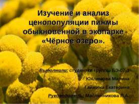 Изучение и анализ ценопопуляции пижмы обыкновенной в экопарке «Чёрное озеро»