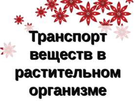 Транспорт веществ в растительном организме