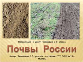 Почвы России