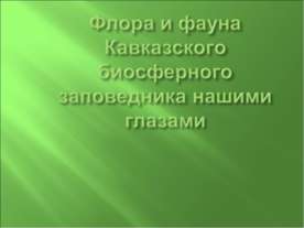 Флора и фауна Кавказского биосферного заповедника нашими глазами