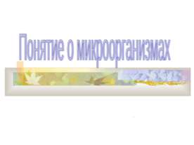 Понятие о микроорганизмах