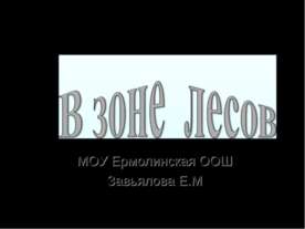 В зоне лесов