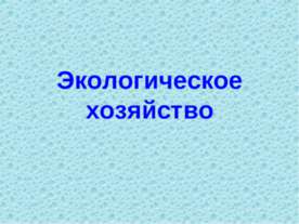 Экологическое хозяйство