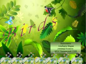 Birds