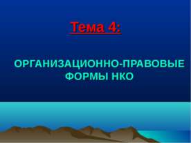 Организационно-правовые формы НКО