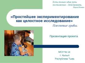 Простейшее экспериментирование как целостное исследование