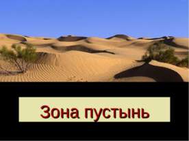 Зона пустынь
