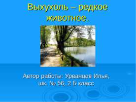 Выхухоль – редкое животное
