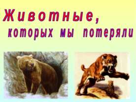 Животные, которых мы потеряли