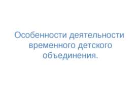 Особенности деятельности временного детского объединения