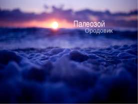 Палеозой. Ордовик
