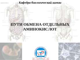 Пути обмена отдельных аминокислот