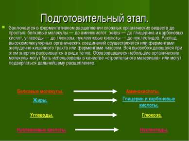 Перечислите методы обнаружения простейших образцы каких тканей берутся на исследование