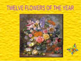 Twelve flowers of the year