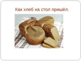 Как хлеб на стол пришёл
