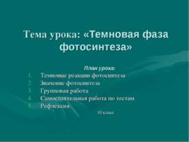 Темновая фаза фотосинтеза