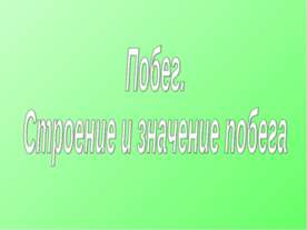 Побег. Строение и значение побега