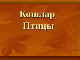 Кошлар Птицы