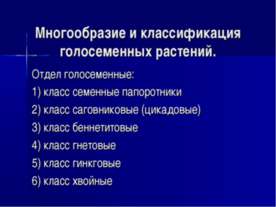 Многообразие и классификация голосеменных растений
