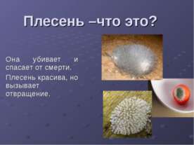 плесень
