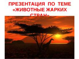 Животные жарких стран