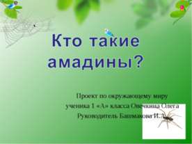 Кто такие амадины?