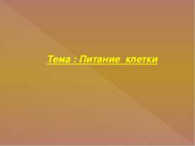 Питание клетки