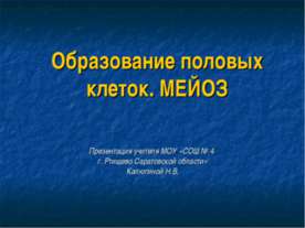 Образование половых клеток. Мейоз