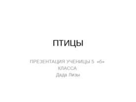 Птицы