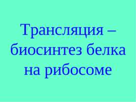 Трансляция – биосинтез белка на рибосоме