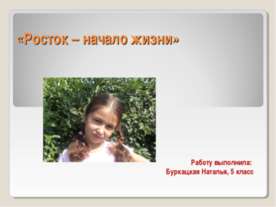 Росток – начало жизни