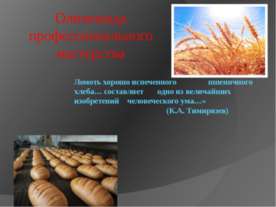 Олимпиада профессионального мастерства