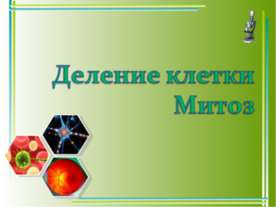 Деление клетки Митоз