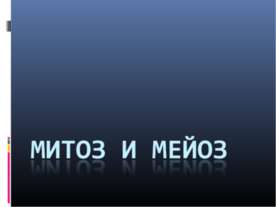 Митоз и мейоз