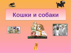 Кошки и собаки