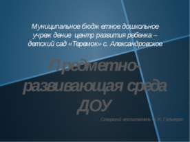 Предметно-развивающая среда ДОУ