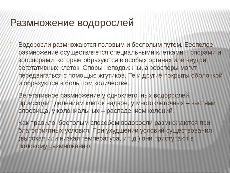 скачать презентация на тему водоросли 6 класс