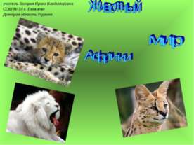 Животный мир Африки