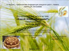 Какой Хлеб мы едим?