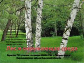Лес и окружающая среда
