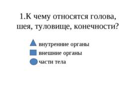 Строение человека